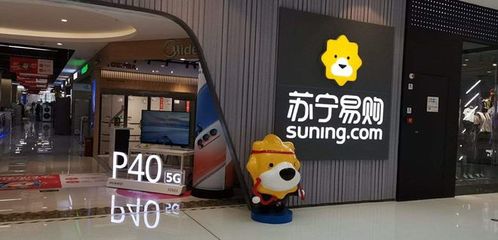 苏宁易购 日用家电零售的领军者与创新之路